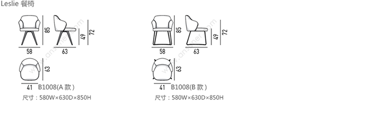 B1008_21.jpg